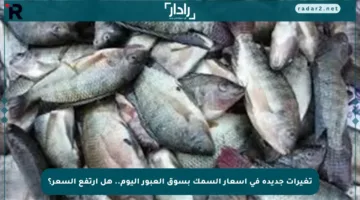 تغيرات جديدة في أسعار السمك بسوق العبور اليوم.. هل ارتفع السعر؟